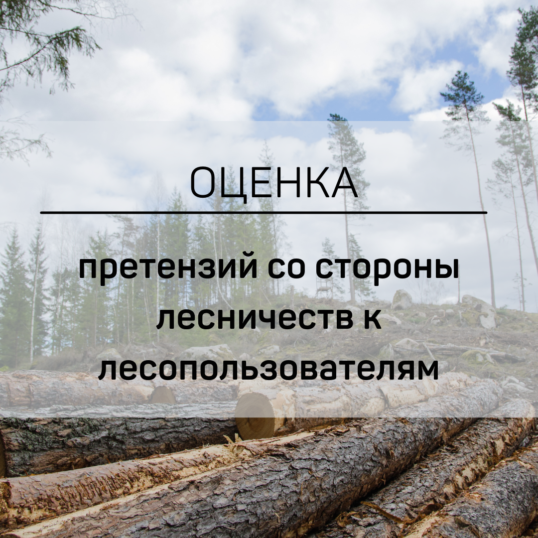 Обследование лесосеки с целью определения количества заготовленной древесины
