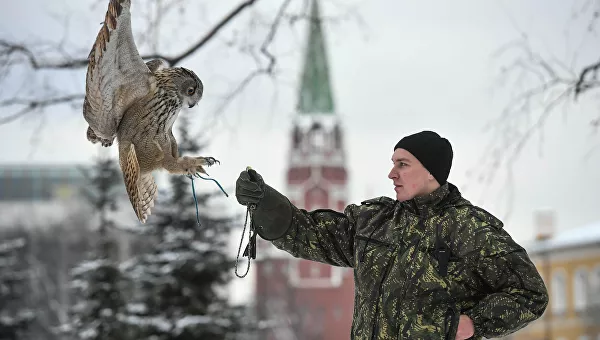 Источник: РИА Новости