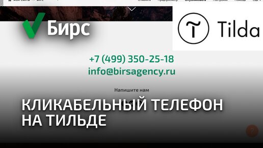 Как сделать кликабельным телефон в конструкторе сайтов Тильда. Инструкция