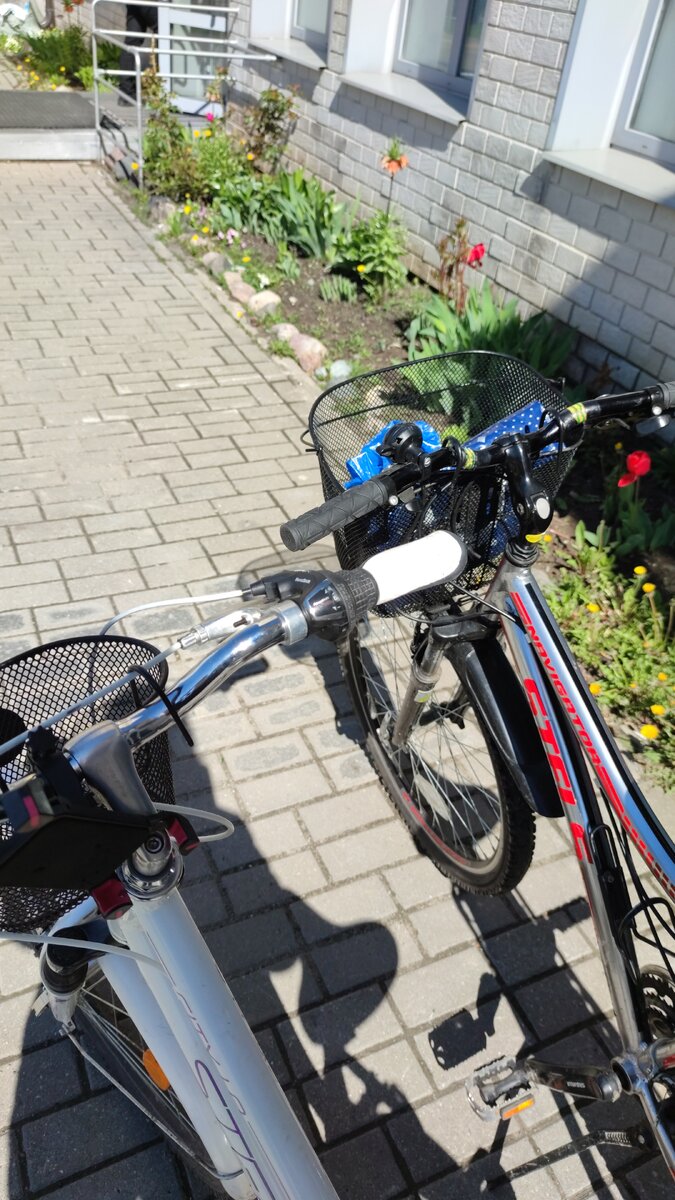 Фото автора