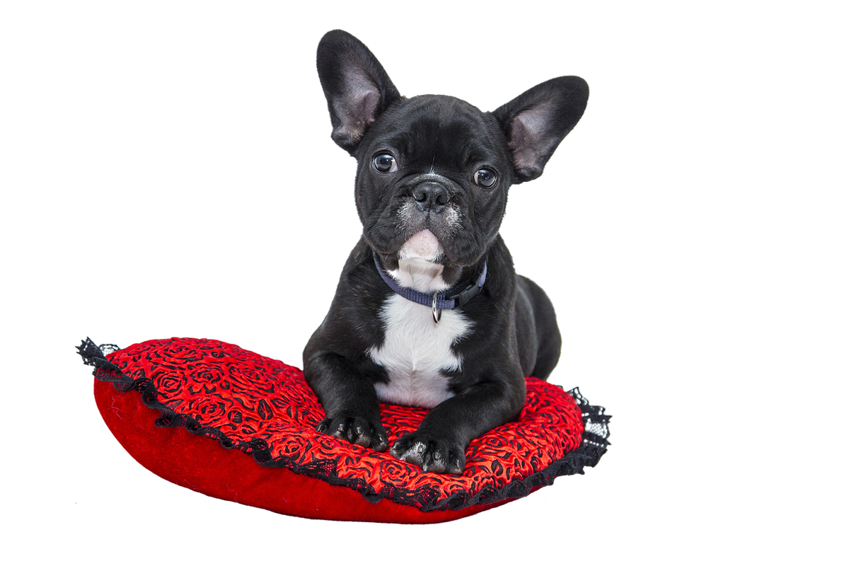 by 1tamara2 from Pixabay