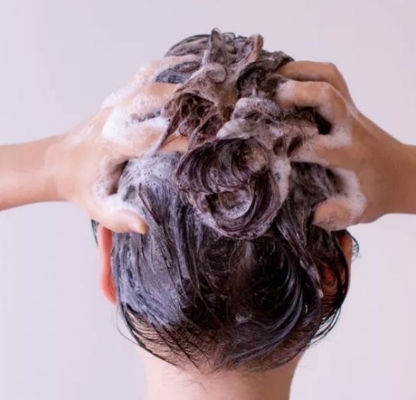 яндекс.картинки