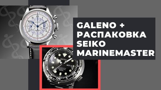 Распаковка Seiko Marinemaster + обзор форумной лимитки Galeno