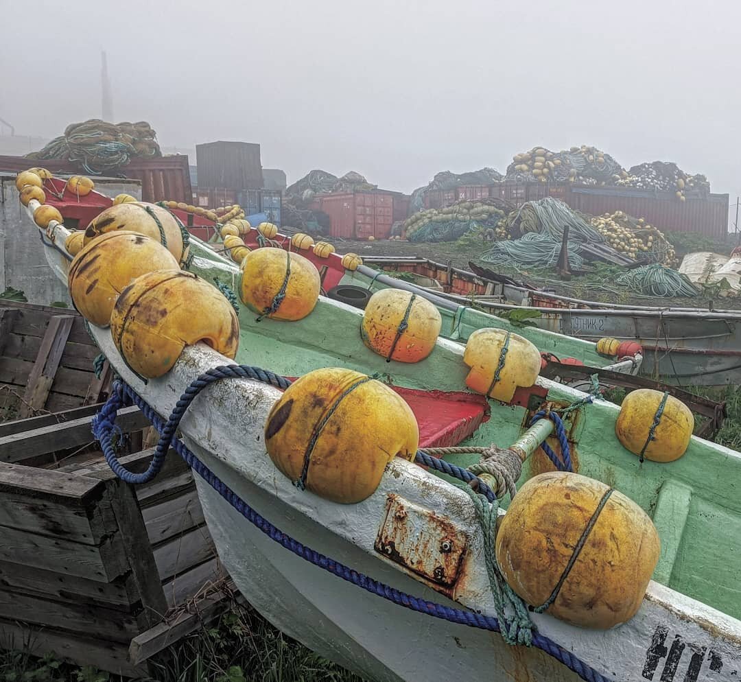 Выгрузка на рыбокомбинате 