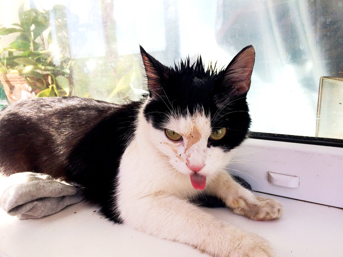 Когда не ты выпил кофе, а он выпил тебя.