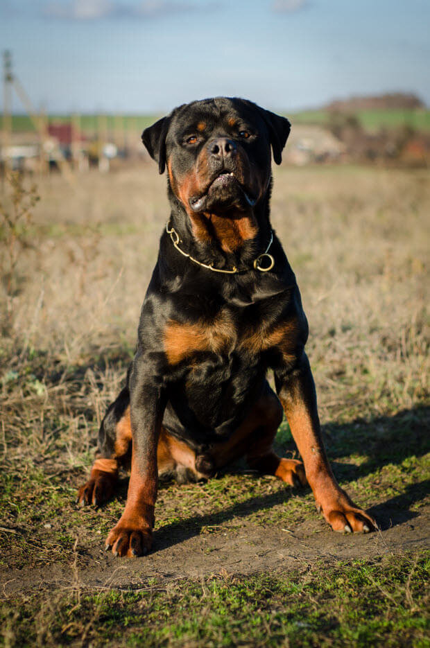 Фото из сети для примера