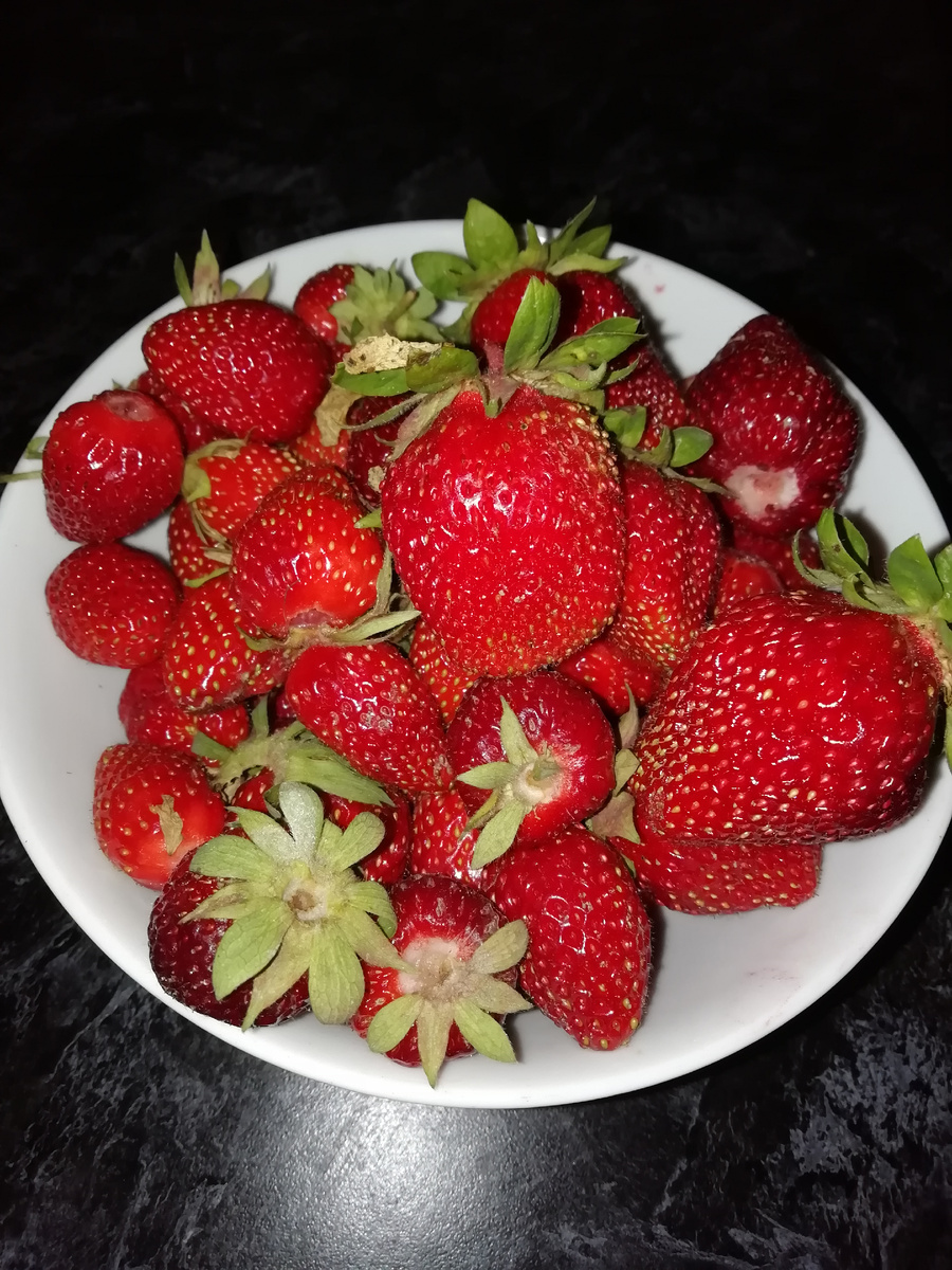 Собрала клубнику