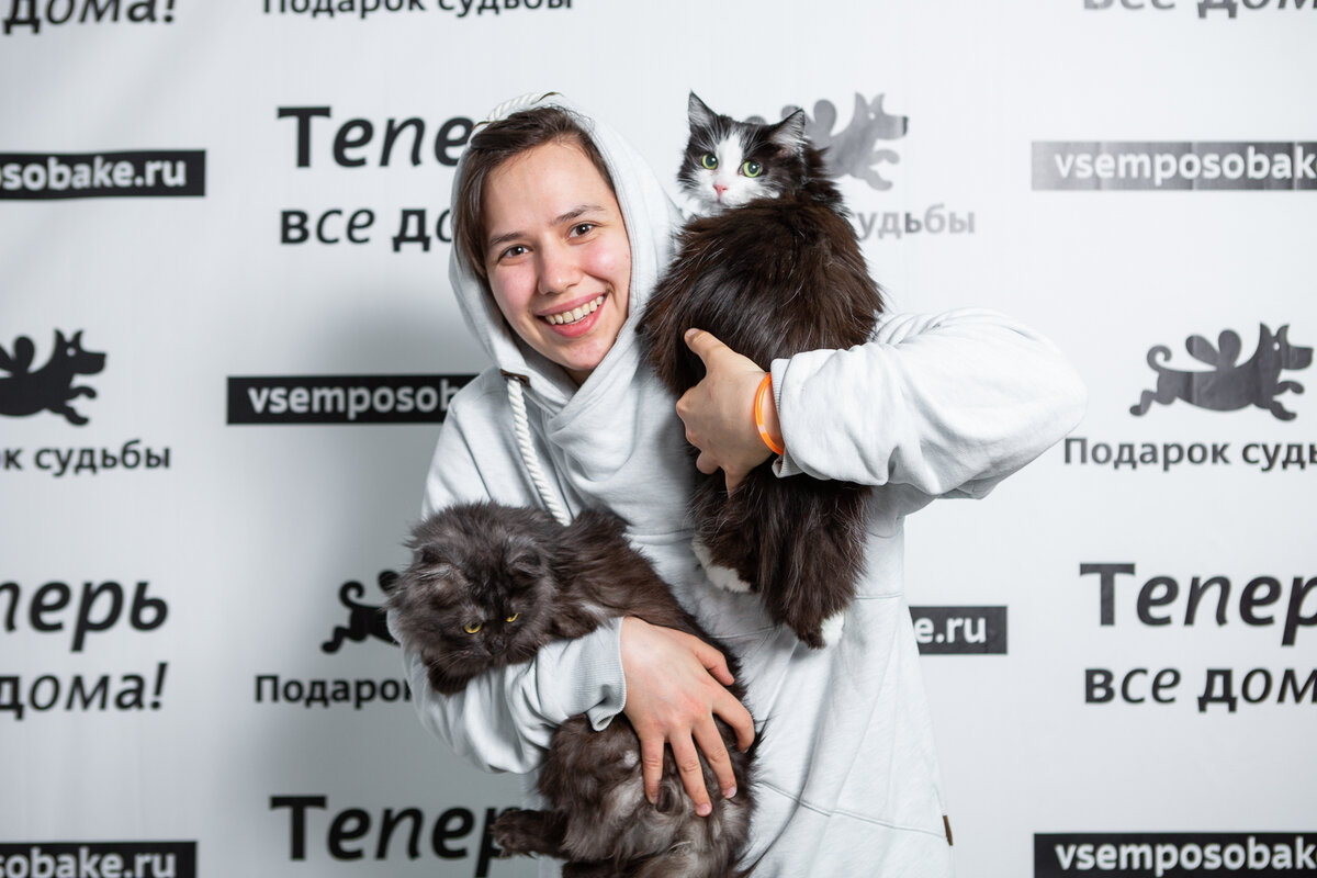 Кейси и Лоли со своей новой хозяйкой