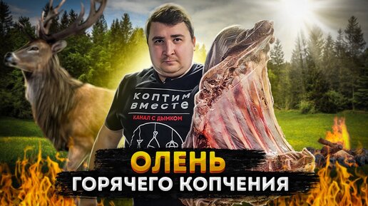 Внимание!!! Такое мясо вы еще не ели. Олень горячего копчения.