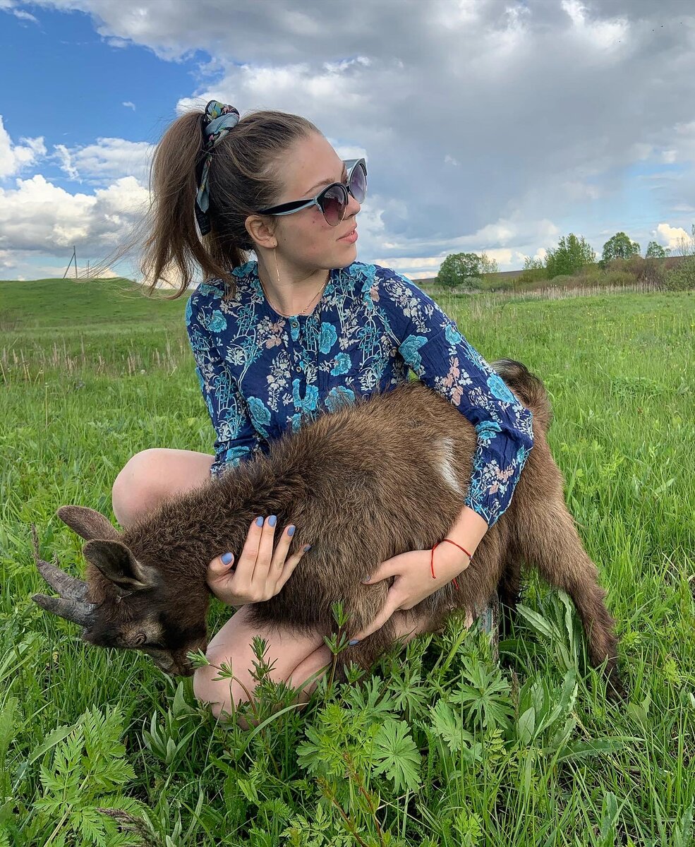 Первые с/х животные 