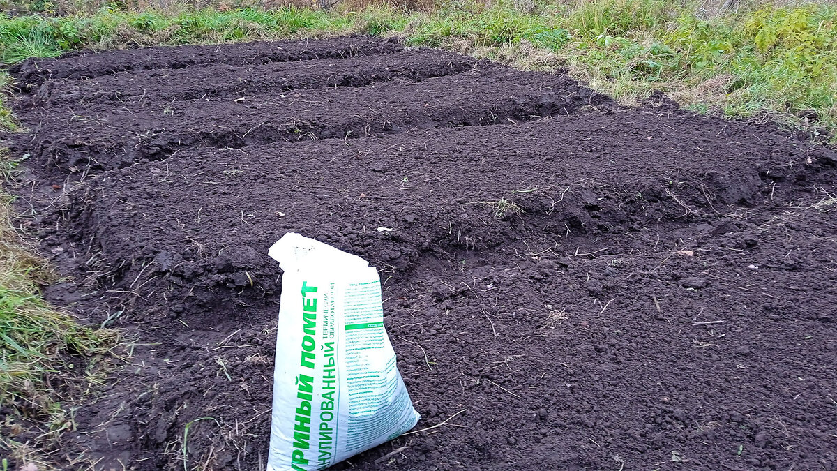 Подготовка грядок.