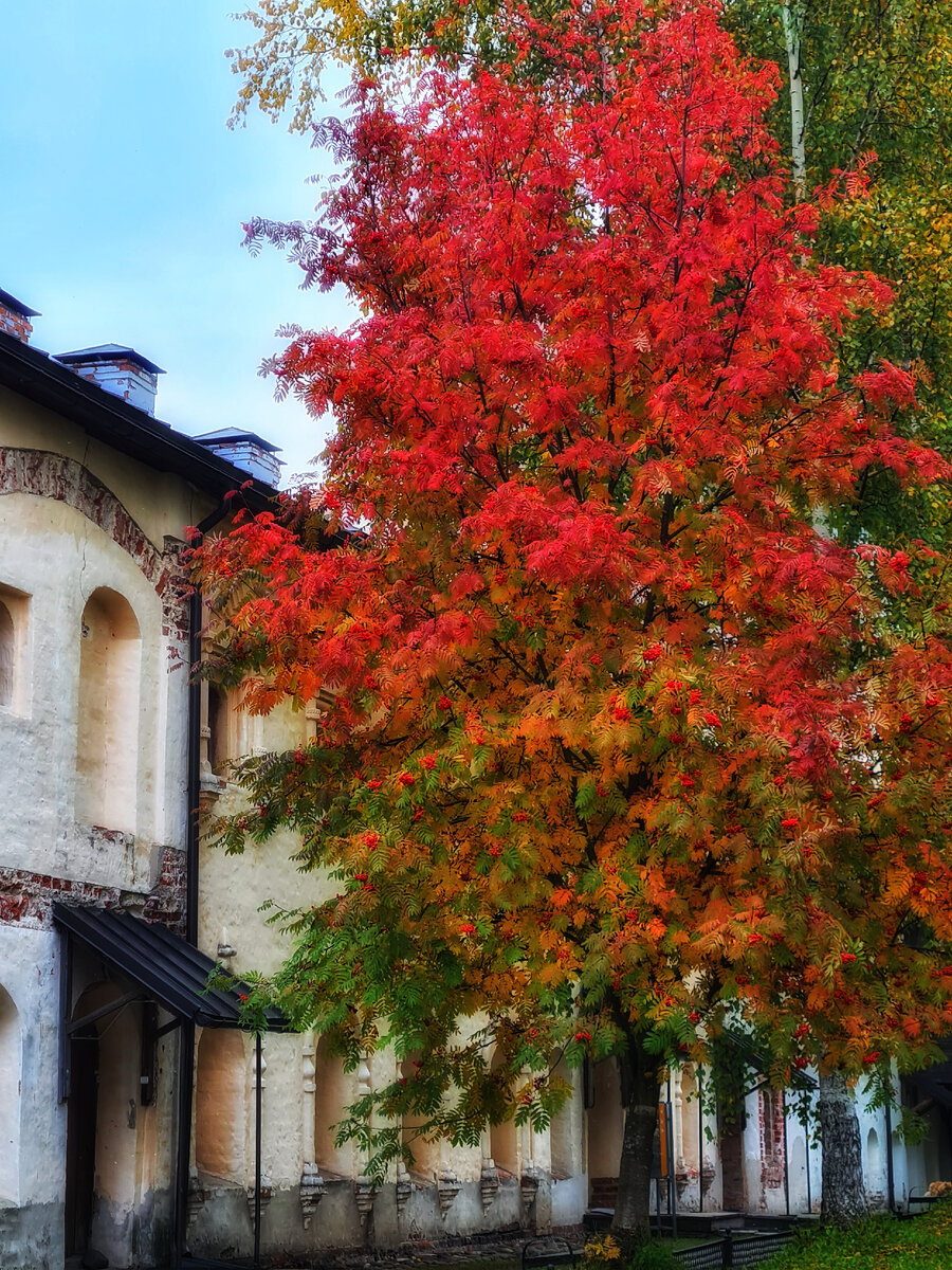 Осень в монастыре