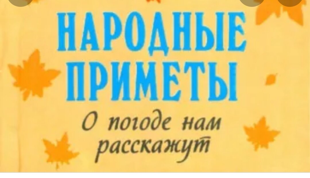 Фото с интернета. 