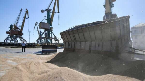   © РИА Новости . Константин Михальчевский