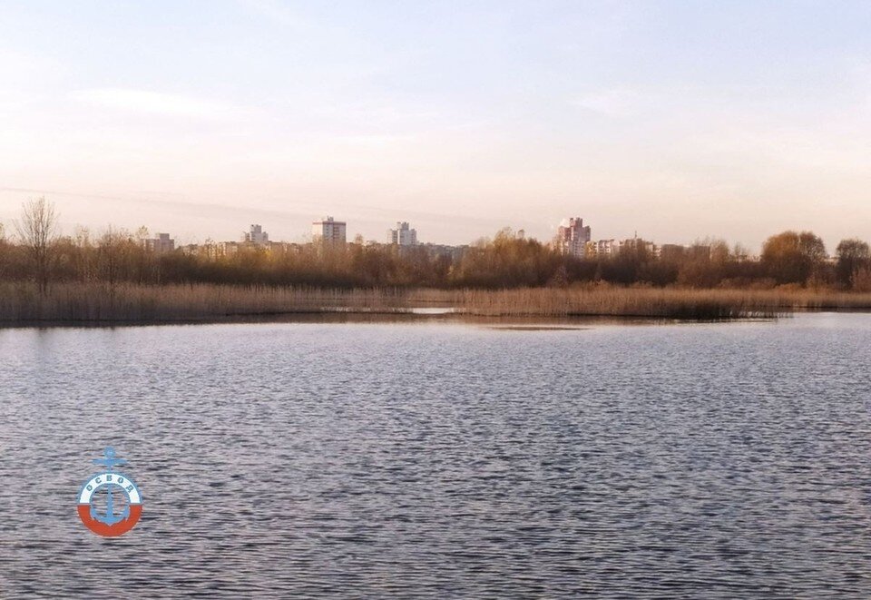     Мужчина оставил свою машину на берегу озера Лебединое в Гомеле. Фото: Гомельская областная организация ОСВОД