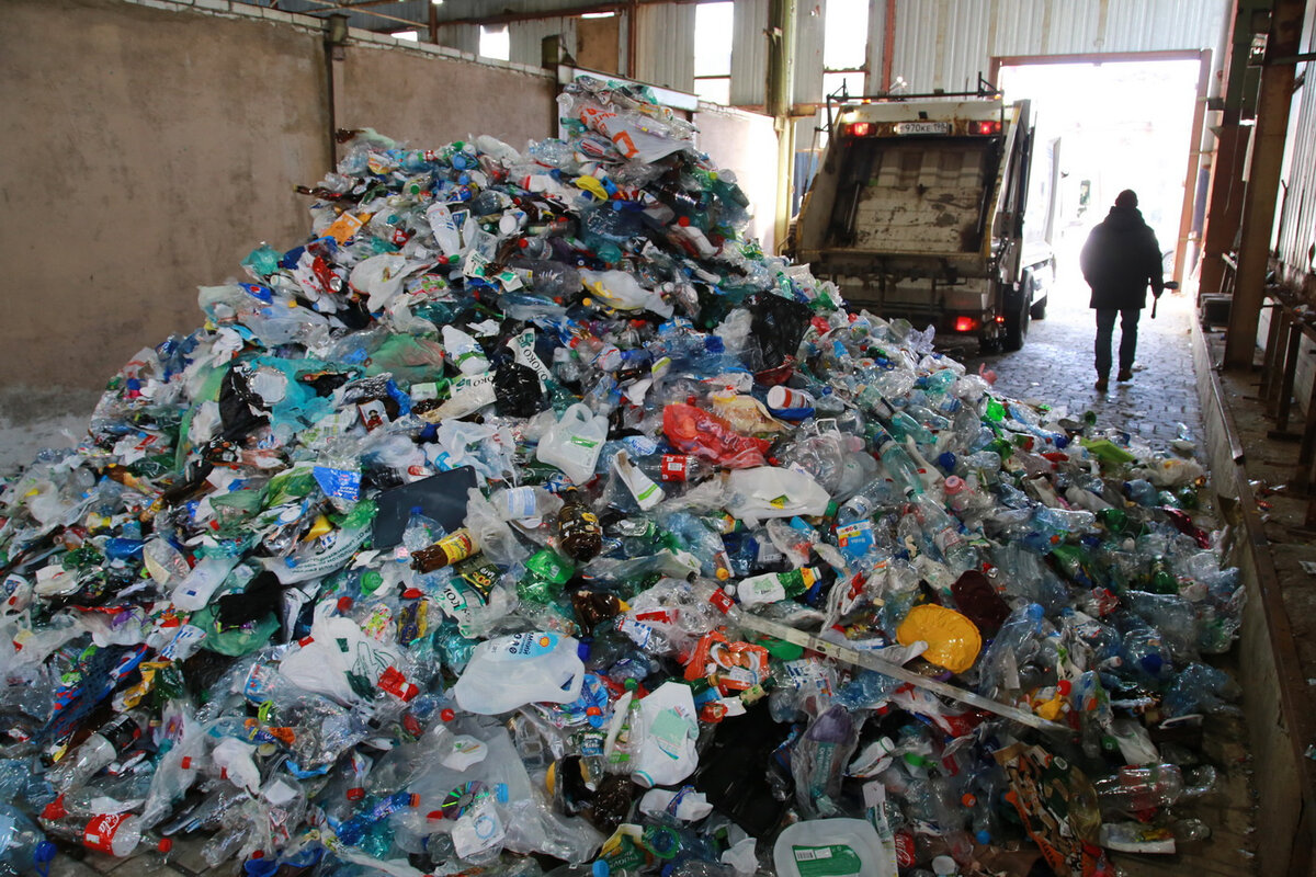   
 Фото: Павел Каравашкин/«Фонтанка.ру»