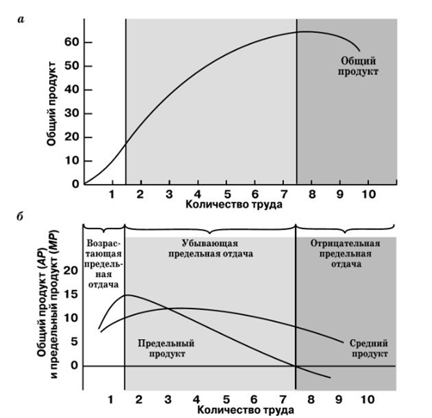 Закон убывающей предельной отдачи: а – общий продукт; б – предельный продукт.