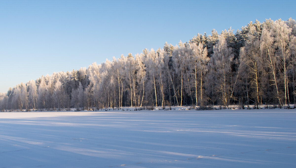 Зима в Подмосковье. ❄ Фотография автора статьи.