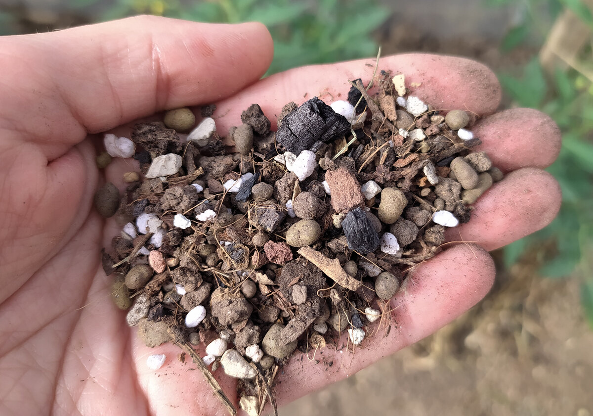 В этом году сделала своим растениям такой замес