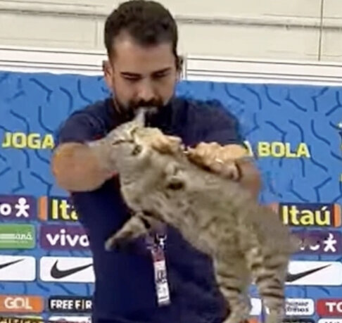 Коте явно было неприятно 😿