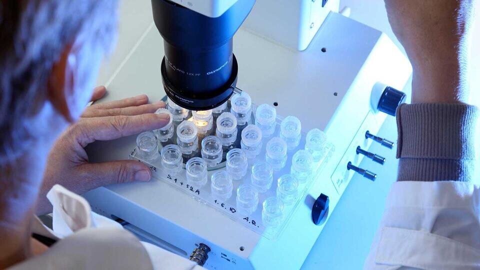 Фото: © Global Look Press/Jochen Tack/imageBROKER.com