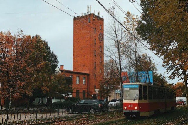   Фото из архива Калининград.Ru