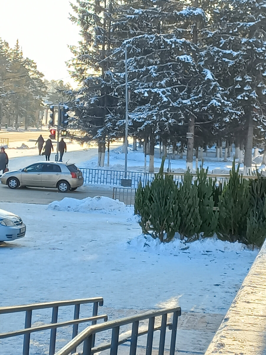 елочный базар