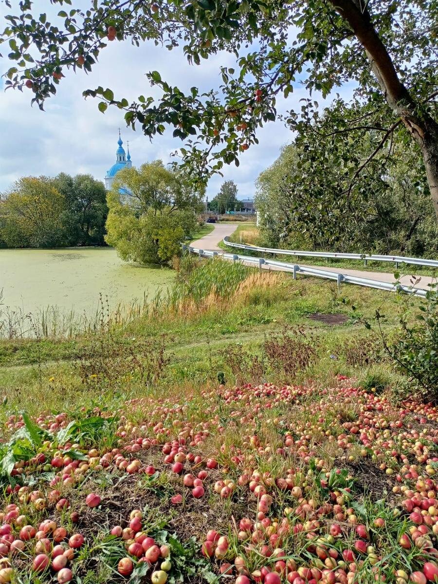 «Фотография с ароматом». Юлия Ивановна Корупаева, Кокино, Россия. Категория: коллективное творчество