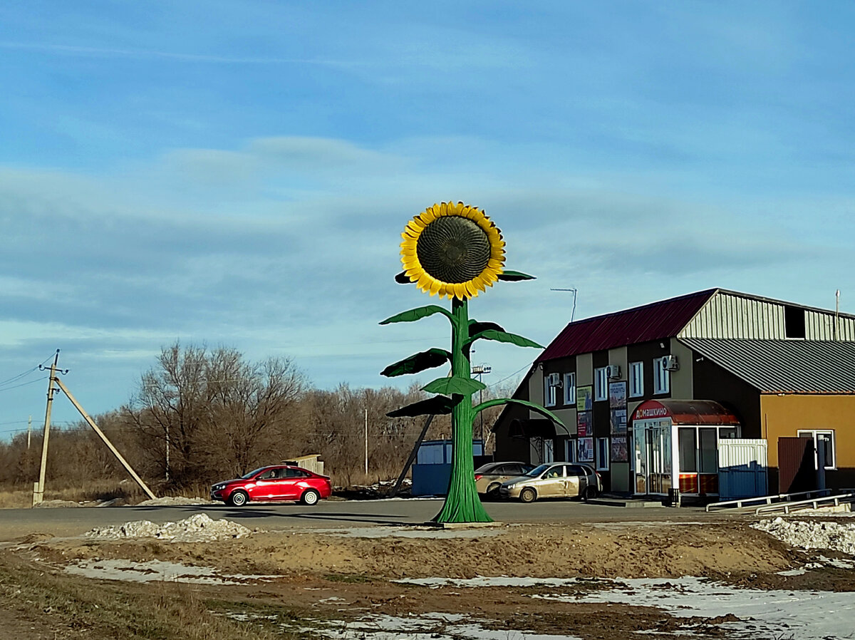 Подсолнух на въезде в село