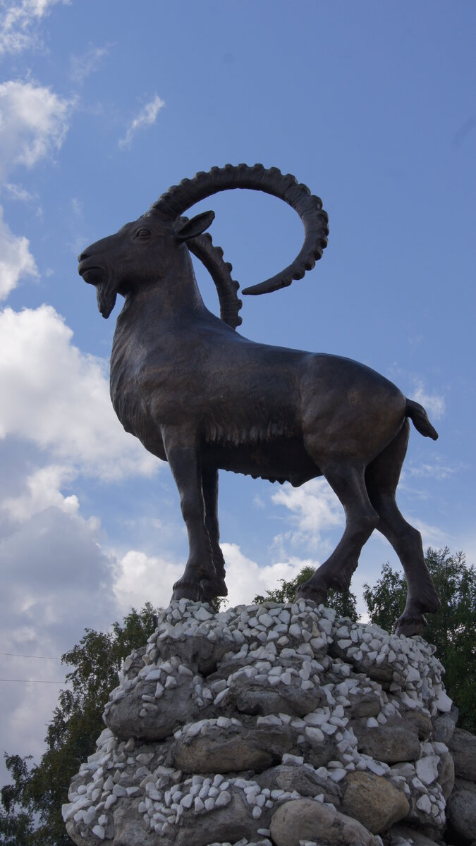 Коренной житель САЯН