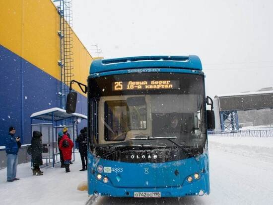     Новая остановка. Фото: Telegram / Елькин Денис Алексеевич