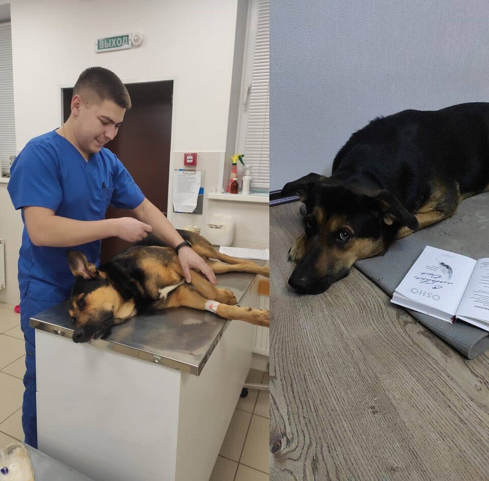     Сама процедура не слишком долгая  Личный архив