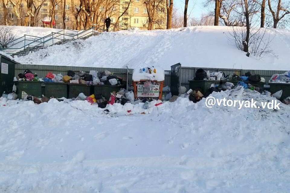     Коллас у домов на Второй Речке. Фото: vtoryak.vdk