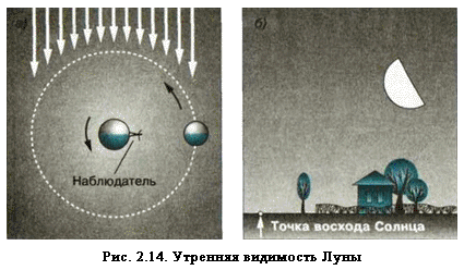 В дальнейшем доля освещенного полушария Луны, видимая с Земли, продолжает увеличиваться до тех пор, пока не наступит полнолуние. В этой фазе Луна находится на небе в стороне, противоположной Солнцу, и видна над горизонтом всю ночь — от его захода до восхода. После полнолуния фаза Луны начинает уменьшаться. Сокращается и ее угловое расстояние от Солнца. Сначала на правом крае лунного диска появляется небольшой ущерб, который имеет форму серпа. Постепенно этот ущерб растет, а через неделю после полнолуния наступает фаза последней четверти. В этой фазе, как и в первой четверти, мы снова видим половину освещенного полушария Луны, но теперь уже другую, которая в первой четверти была неосвещенной. Луна восходит поздно и видна в этой фазе по утрам (рис. 2.14). В последующем ее серп, обращенный теперь выпуклостью влево, становится все более и более узким (рис. 2.12), постепенно сближаясь с Солнцем. В конце концов он скрывается в лучах восходящего Солнца — снова наступает новолуние.