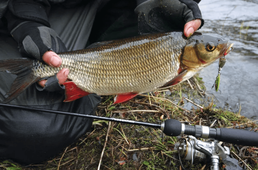 Фото с сайта: https://molkom-kazan.ru