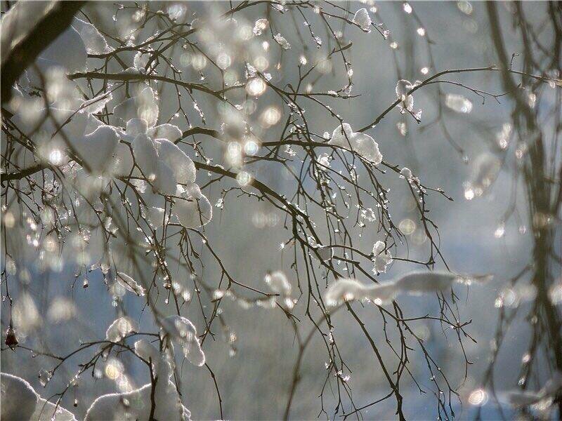 Ссылка на изображение https://s.poembook.ru/theme/2b/f4/a5/47d47f72ebb5247a20d822c9d34d2f2516bae858.jpeg