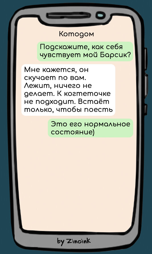 В котором они оставили своих любимцев, 8 смешных переписок хозяев домашних питомцев с администратором отеля для животных.