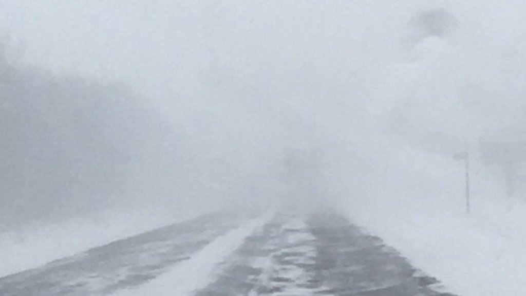 Яндекс картинки