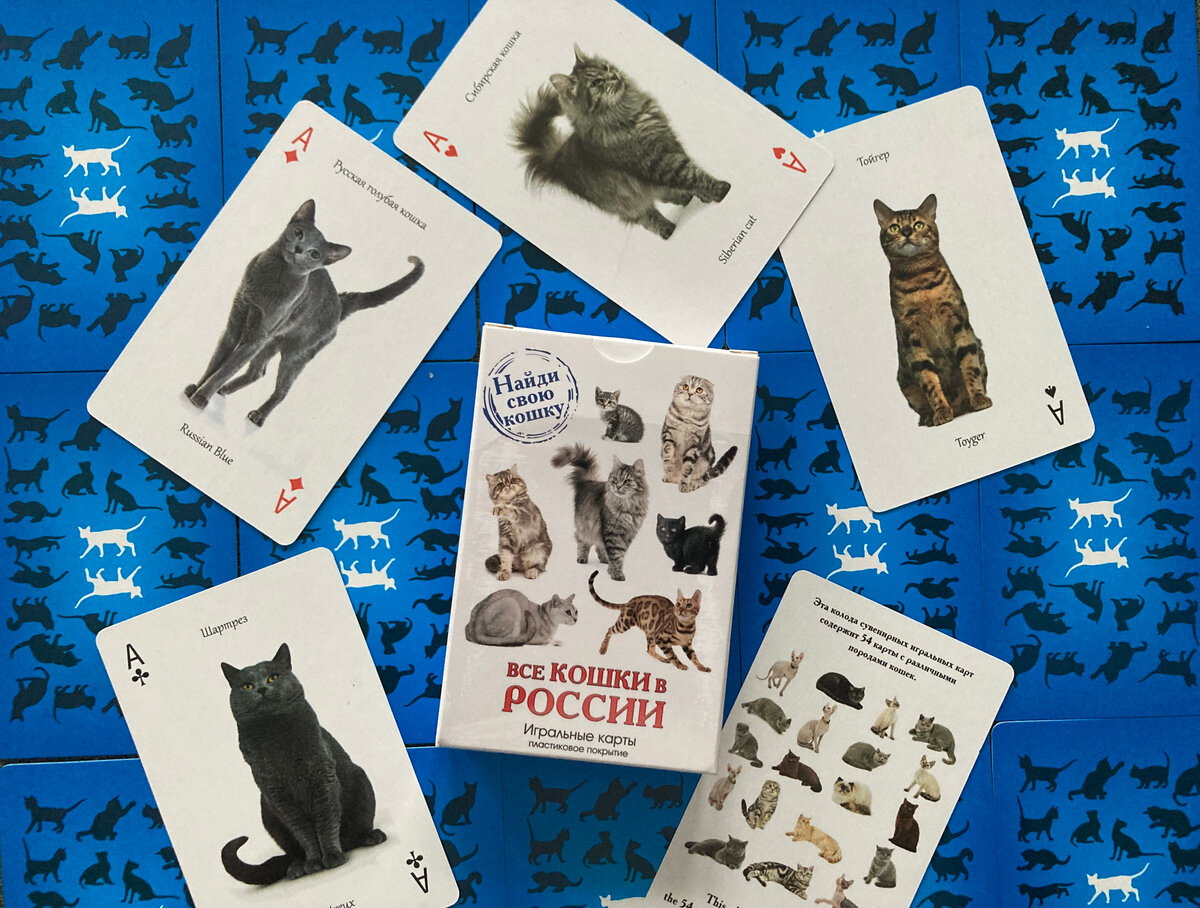 "Найди свою кошку" и в этой колоде вы её точно найдете. Свою и не только,я нашел!