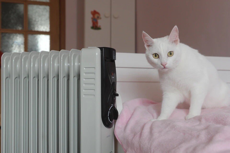     Температура в системе отопления Москвы подняли до максимальных значений из-за аномальных холодов Юлия ПЫХАЛОВА
