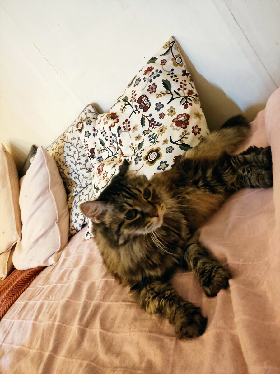 Императрица не верит своему счастью 