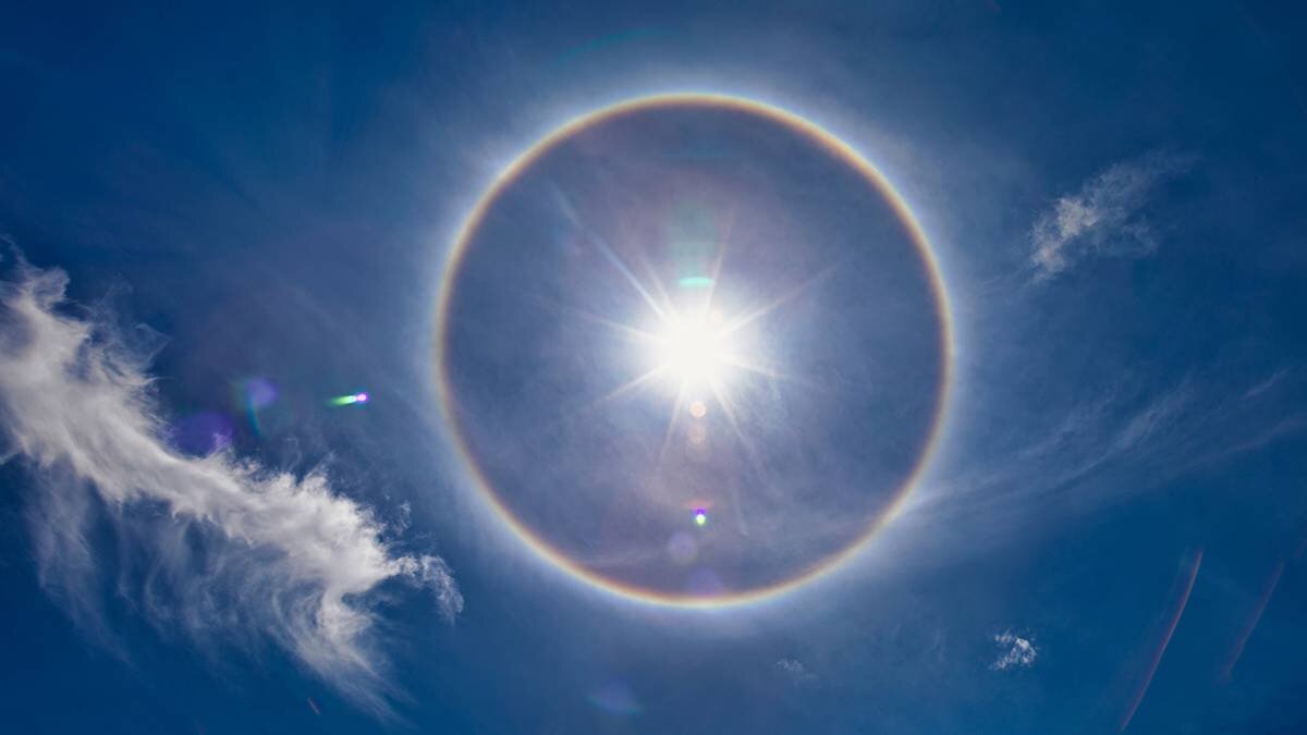    Фото: shutterstock