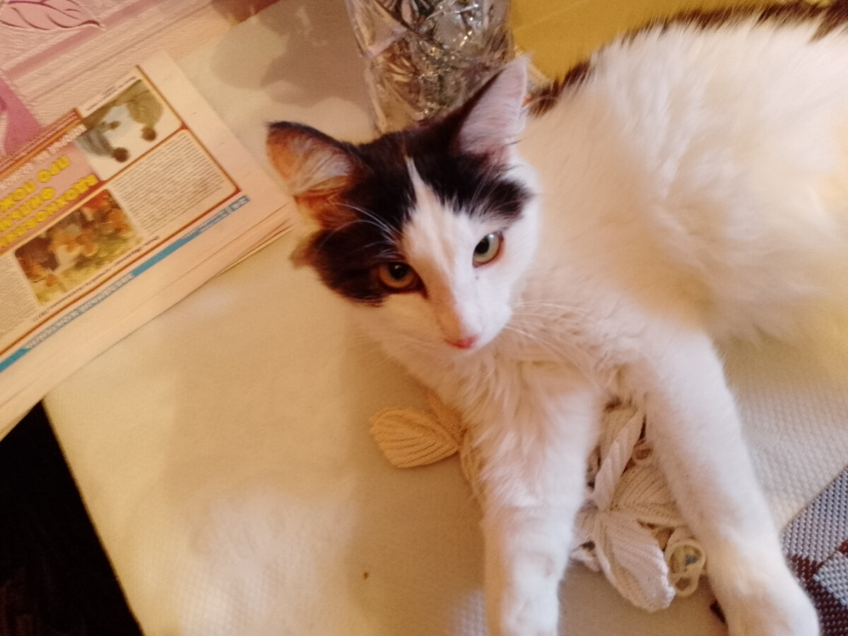 Взгляд настороженный, всё ещё боится. (Фото автора)