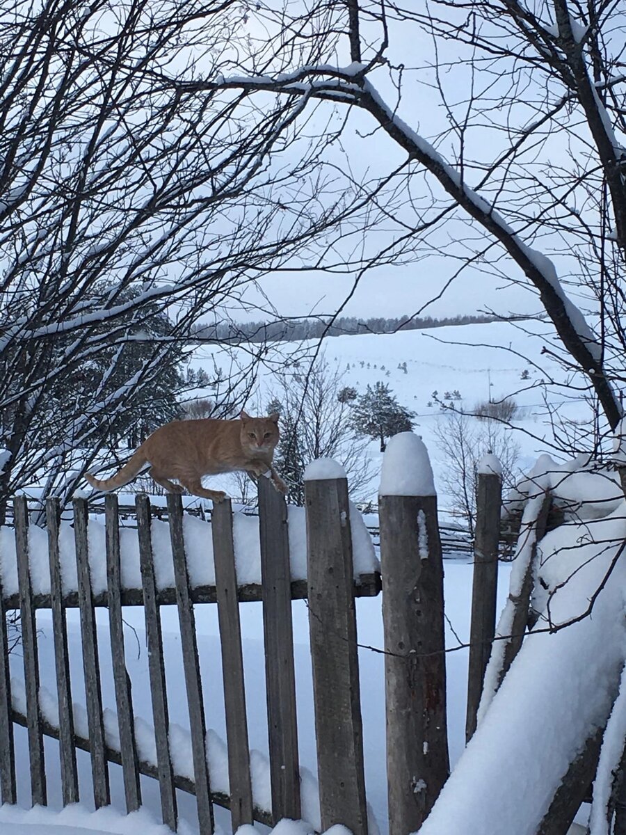 Фотография из личного архива автора 