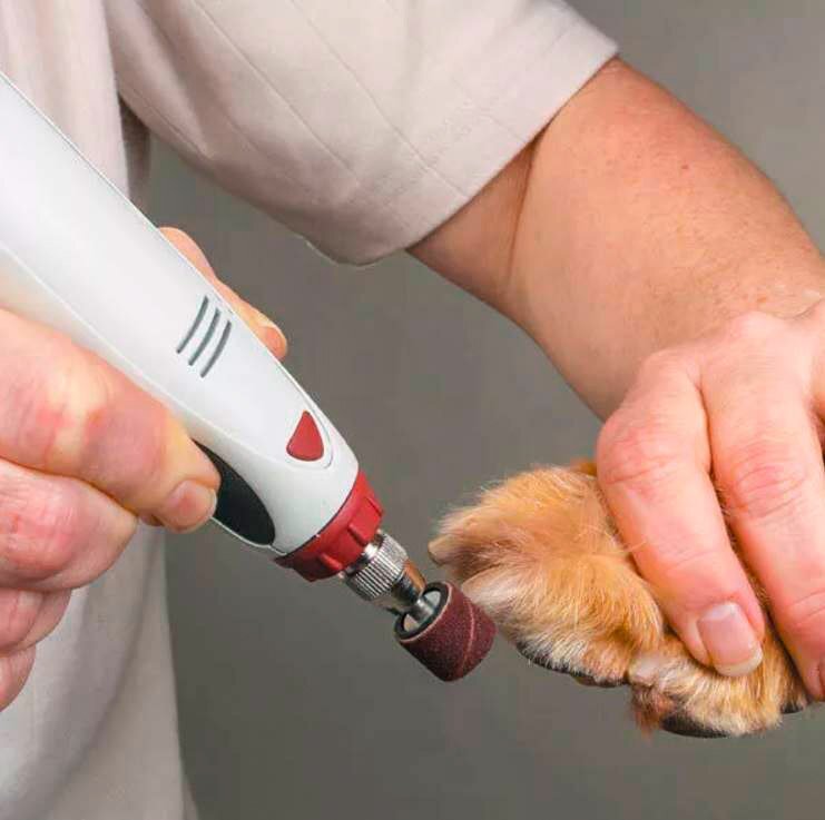 Чем обрабатывать ножницы после стрижки собак