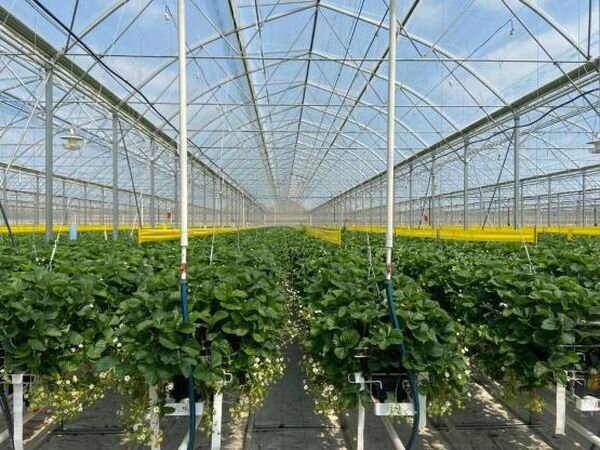 Источник фото: vyberry.me