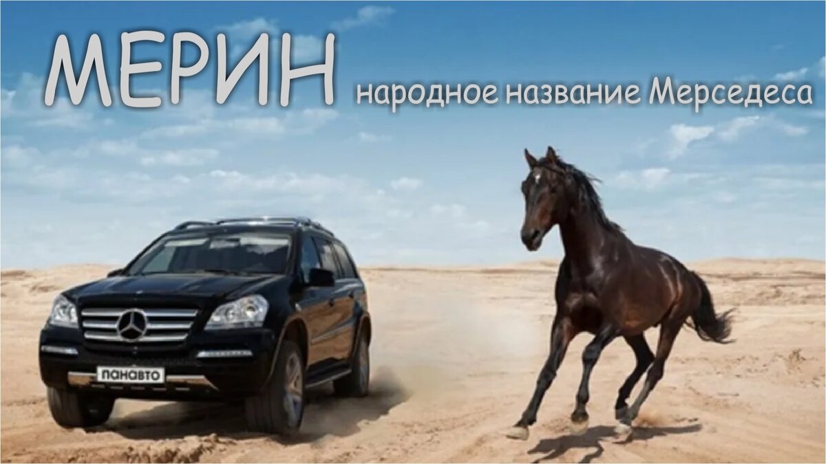 В народе Мерседесы звали Меринами во многих краях России