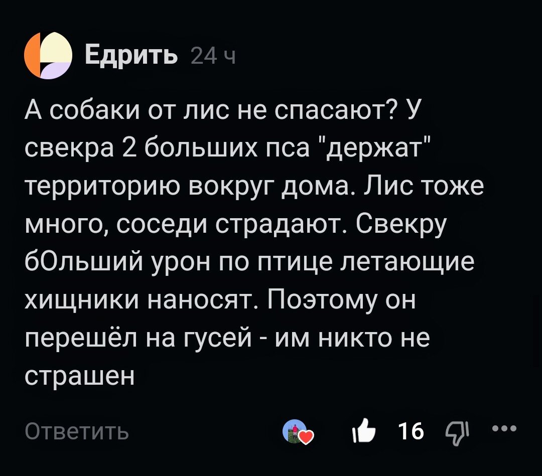 Если ей нужно накормить детей, то никто не остановит от кражи | Алёна Р |  Дзен