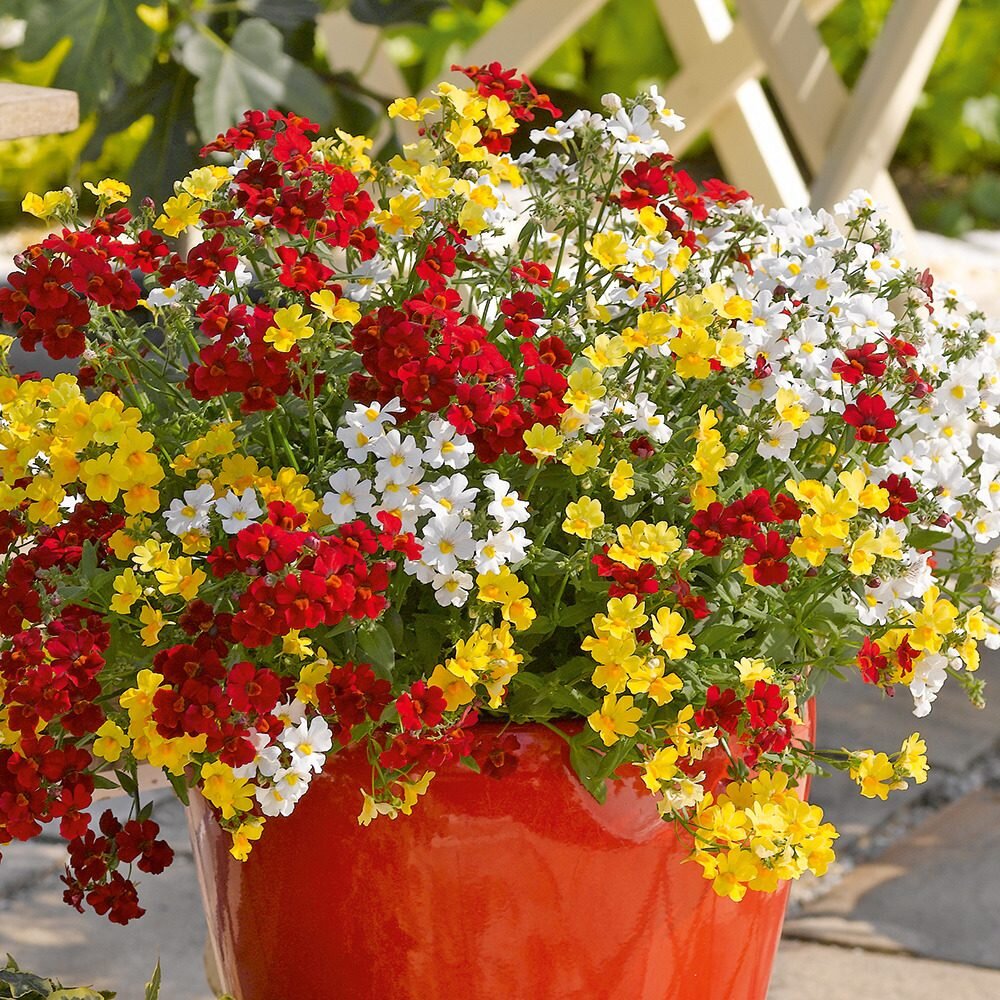 ������������ ������� � �����. ������ ���� � �����: 2sotki.ru