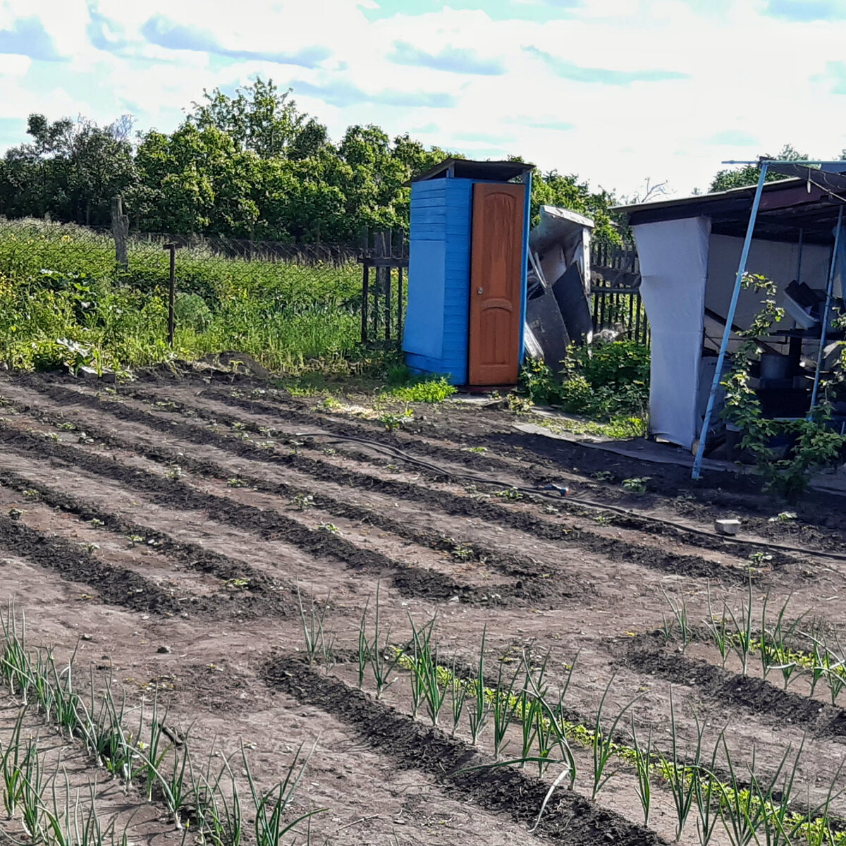 Вот этот раритет с горой мусора гордо отправится в утиль😆